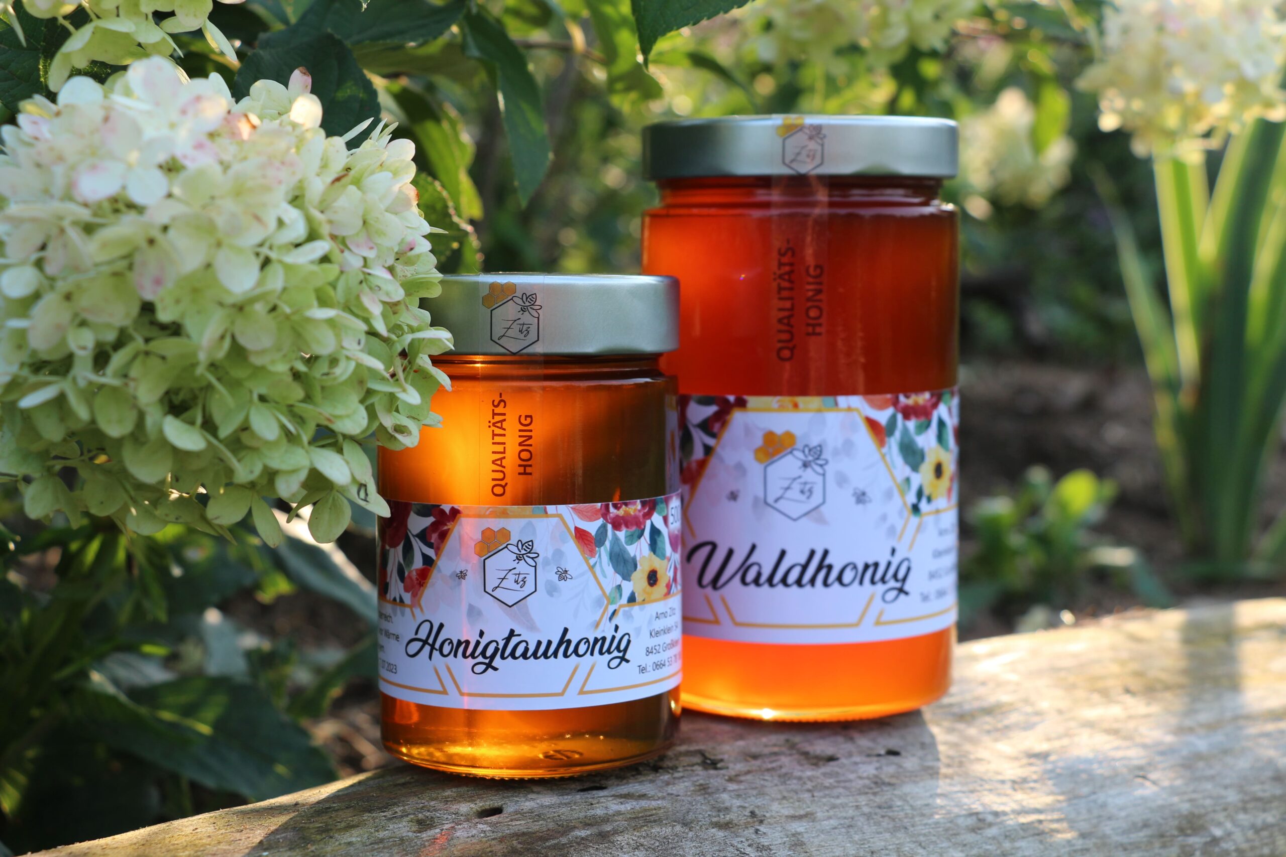 Waldhonig & Honigtauhonig 2021