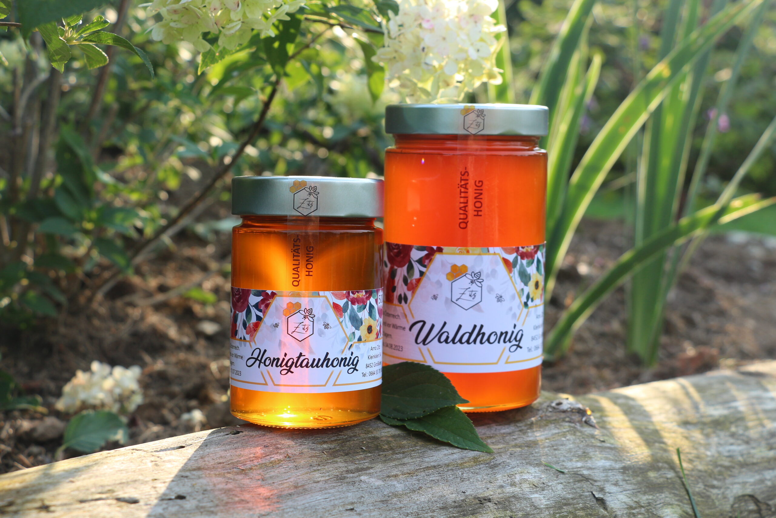 Waldhonig & Honigtauhonig 2021